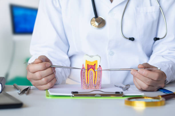 Best Dentist Open Late Near Me  in Minier, IL